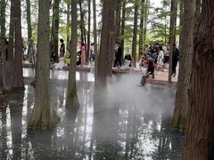 -东湖落雁景区