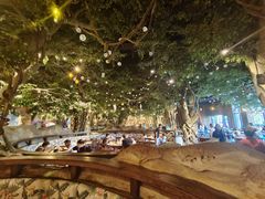 -杭州开元森泊度假乐园