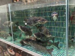 -滋粥楼·顺德菜海鲜茶点(金融城店)