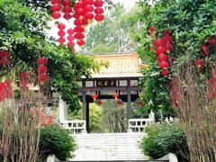 -白云山风景名胜区