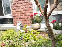 -漫渡庄绿岛花园•隐市庭园菜(滨湖店)