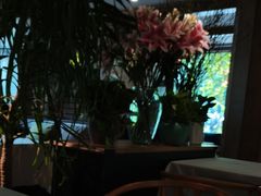 -春暖花开(西溪店)