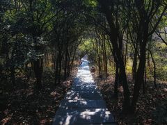 -梧桐山风景名胜区