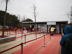 -上海市第一人民医院(松江南部)