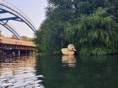 -动邦皮划艇·桨板·独木舟·团建户外运动俱乐部