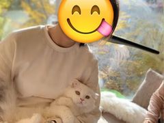-猫和宫(六道口店)
