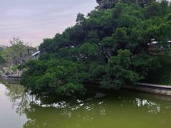 -江心屿景区