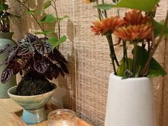 -十二舍·湯物素煮(江泰潤政店)