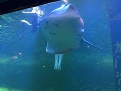 -洛阳龙门海洋馆