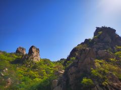 -大岭沟猕猴桃谷风景区