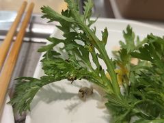-海底捞火锅(万达广场店)
