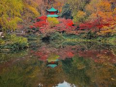 -岳麓山风景名胜区