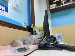 -宠颐生猫科·内科皮肤科(西平世纪城店)