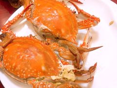 -吕四渔港码头海鲜餐厅