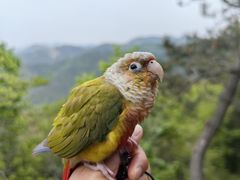 -大连金龙寺国家森林公园-售票处