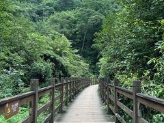 -凤栖山