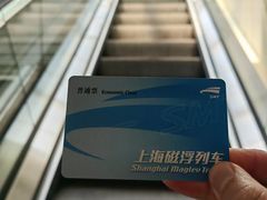 -龙阳路磁悬浮列车总站-停车场