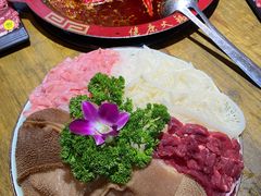 -七里川健康火锅(总店)