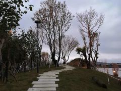 -光明港公园