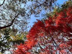 -虞山风景区