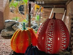 -老李家土菜馆·安吉地标美食