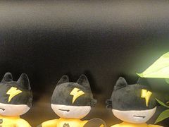 -梵猫·新养生(加州广场店)