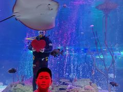 -沈阳海洋探索中心