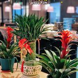 北京超地道的湘菜|闭眼点全是下饭菜！