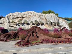 -北京西山国家森林公园