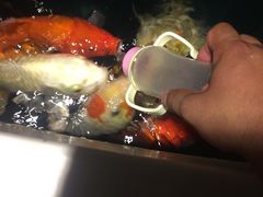 -Rabbit Cafe私房西餐甜点咖啡(栖霞路店)