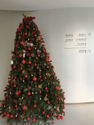-纯粹医美
