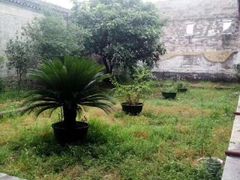 -李宗仁先生故居