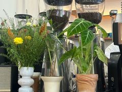 -LilBee Coffee