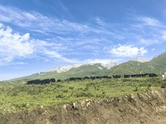 -花湖生态旅游区