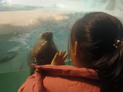 -大连圣亚海洋世界