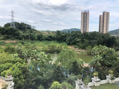 -重庆长寿碧桂园凤悦凤凰酒店