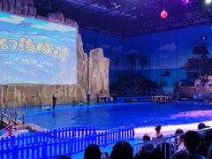 -华夏文旅海洋公园