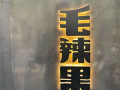 -毛辣果·酸