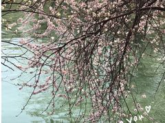 -颐和园