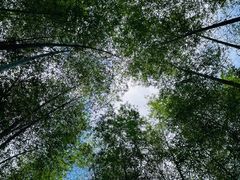 -千泷沟大瀑布旅游区
