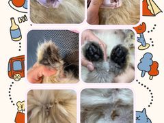 -Oh My Dog宠物沙龙(伊珊娜皮毛护理店)