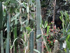 -呀路古热带植物园