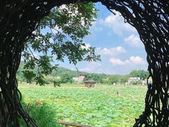 -红山村