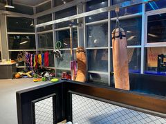 -派立斯游泳健身(狂野店)