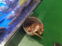 -新海渔港·胶东海鲜家常菜·家宴(奥体中心店)
