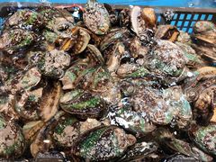 -川骄海鲜自助(亚运村店)
