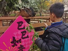 -盈香心动乐园