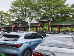 -顺峰山公园