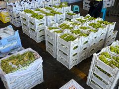 -西郊国际农产品交易中心