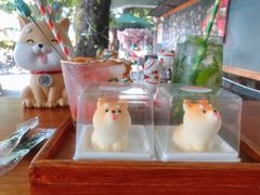 柴犬蛋糕-柴犬高等学院·狗咖·柴犬售卖·宠物训练